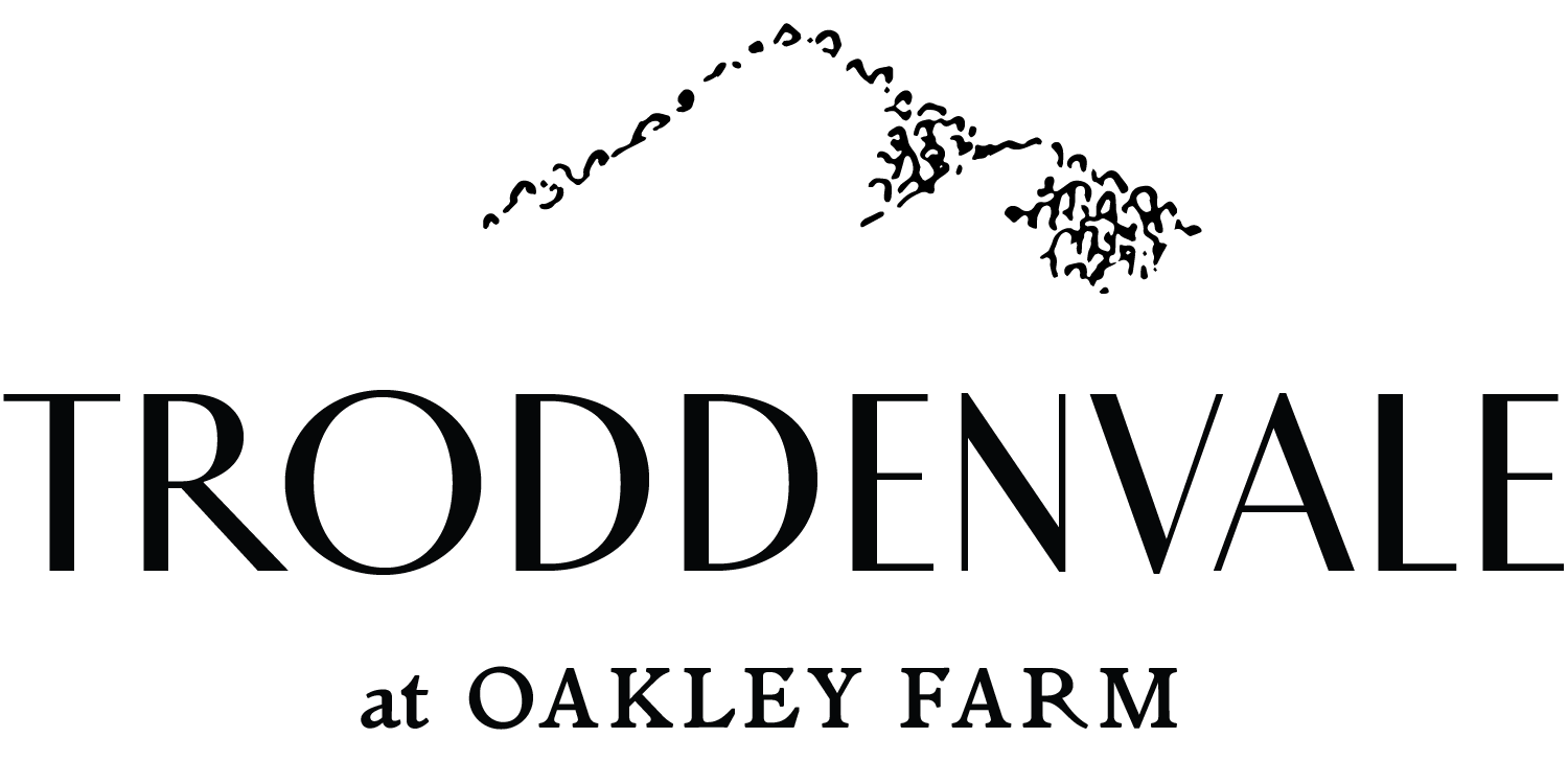 Troddenvale Logo Black